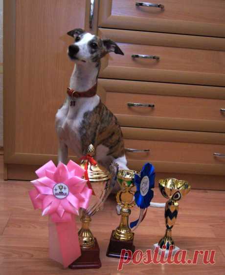 Победительница