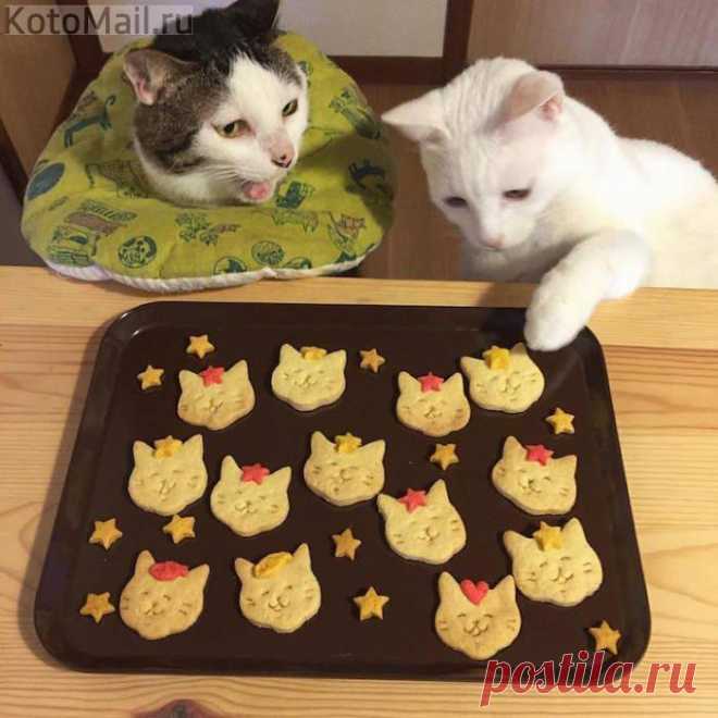 Это тебе, а это мне и снова мне...