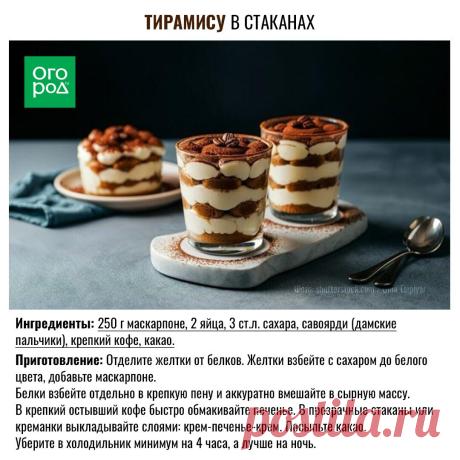 Тирамису в стаканах