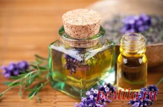 Как создать приятный аромат в доме | One of Lady - Журнал для женщин