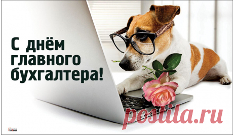 Под Вашим пристальным контролем,
Все цифры знают свои роли.
Пускай всегда будет порядок,
И с каждым днем растет достаток.
С Днем главного бухгалтера!