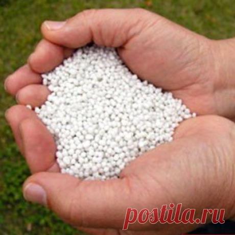 Аммиачная селитра как удобрение, натриевая селитра удобрение, минеральные удобрения селитра. | Общие удобрения