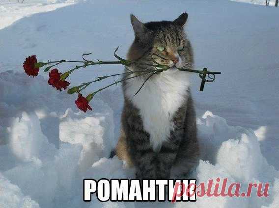 Мой Мир@Mail.Ru