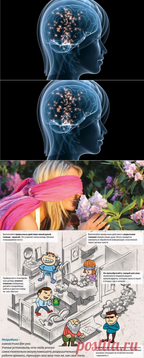 Гимнастика для ума — Полезные советы