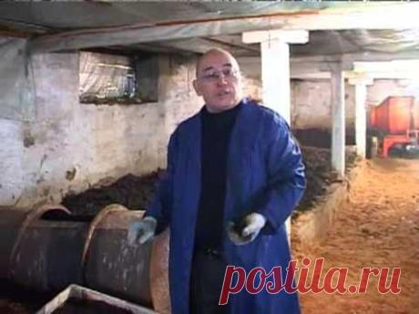 Повелитель червей Казахстан