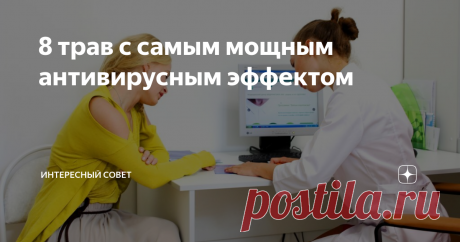 8 трав с самым мощным антивирусным эффектом Любое лечение должно проходить под наблюдением врача, и самолечением заниматься не стоит. Наряду с лекарственными препаратами, занятиями спортом, режимом дня и сбалансированным питанием немаловажное место занимает фитотерапия — лечение теми дарами, которые нам оставила природа.
В моменты тяжелого удара по человеческому здоровью можно воспользоваться природными средствами, которые могут помочь нам