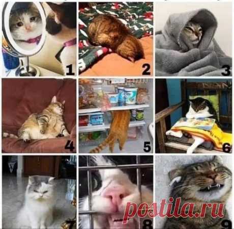 #коронапозитив #сидидома