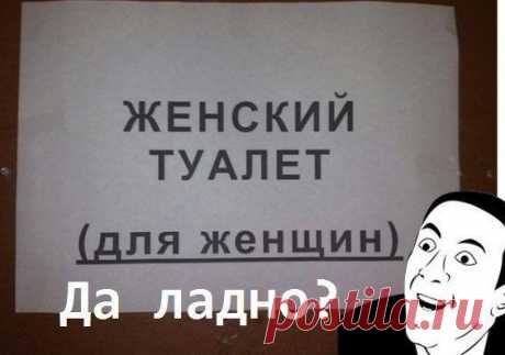 Смешные картинки с надписями