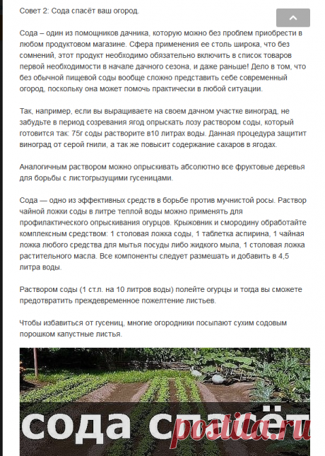 (4) Одноклассники
