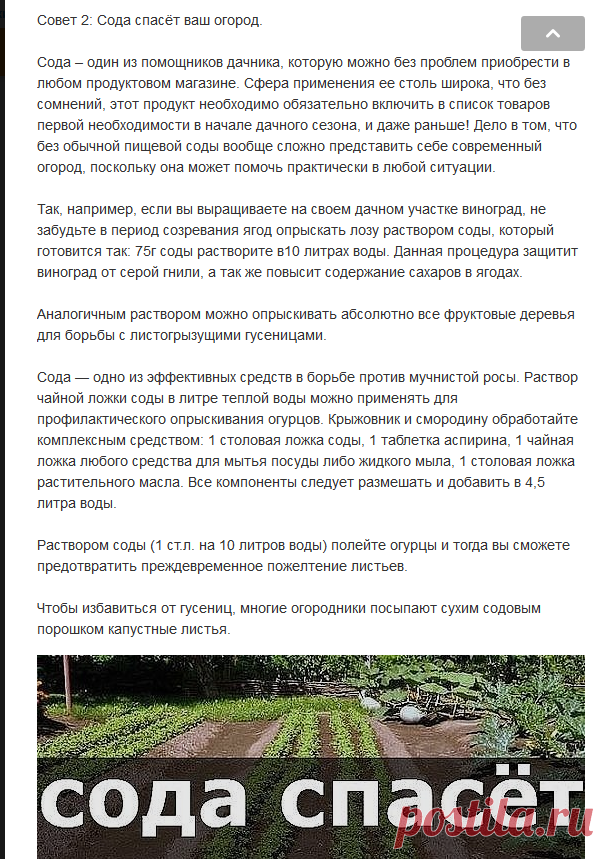 (4) Одноклассники