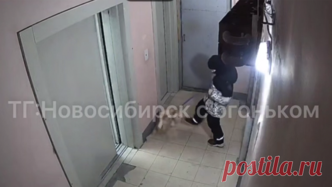 Новосибирский школьник отпинал собаку в подъезде дома. В Новосибирске мальчик отпинал собаку, которую вел на поводке. Об этом сообщает Telegram-канал "Новосибирск с огоньком". Инцидент произошел в подъезде дома N66/5 на улице Фадеева. Мальчик примерно десяти лет, выйдя из лифта с ...