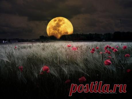 luxfon.com-19194.jpg (1024×768)