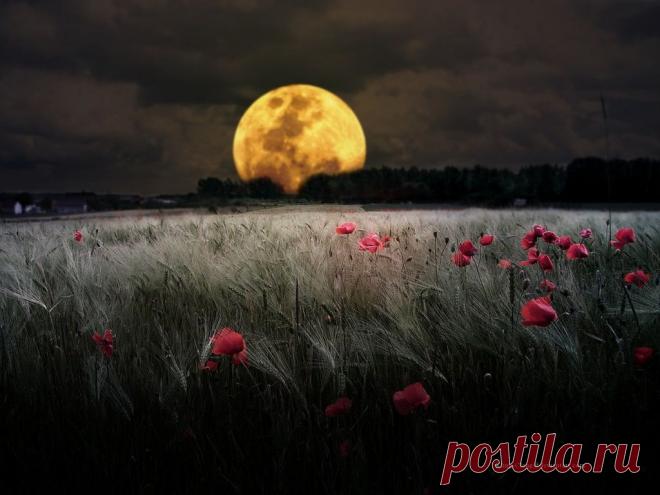 luxfon.com-19194.jpg (1024×768)