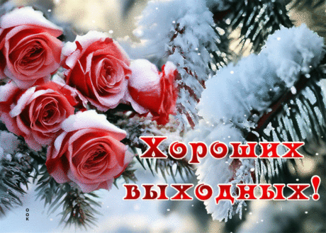 Симпатичная гиф-открытка желает вам хороших выходных