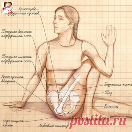 МАРИЧАСАНА III 

Маричиасана III относится к позам йоги похудания. Благодаря массажу живота улучшается работа кишечника, а объем живота естественным образом уменьшается. Скручивание в этой позе избавляет от острых болей в спине, пояснице и бедрах, излечивает растяжения плечевых связок и смещения плечевых суставов, дает свободу движения плечам, тренирует мышцы шеи, тонизирует печень и селезенку. 

ТЕХНИКА ВЫПОЛНЕНИЯ 

1. Сядьте на пол, вытяните ноги вперед перед собой. Согн...
