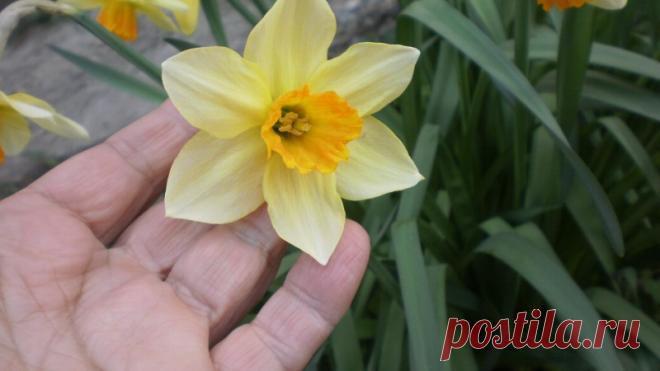 А у нас во дворе В карантине, оказывается, есть масса положительных моментов.