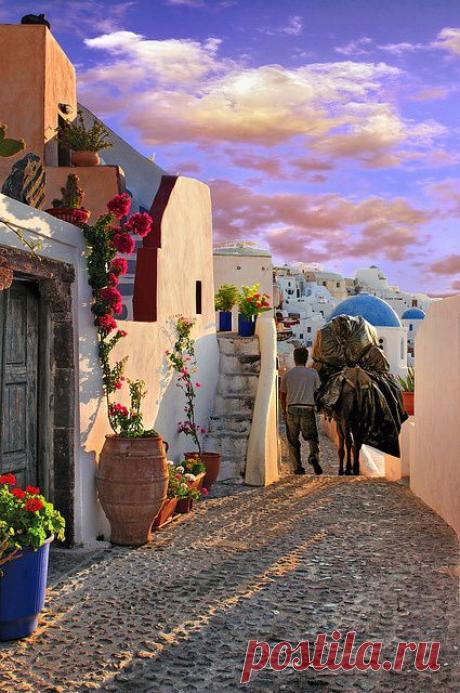 Santorini, Greece | Pin by anna tornati on Giardini