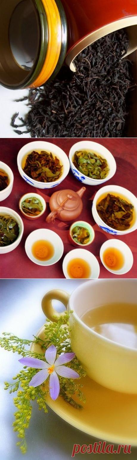 Так какой чай самый полезный