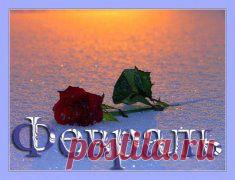 Фотоальбомы