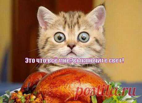 Как приготовить утку в духовке? Вкусный и сочный рецепт приготовления