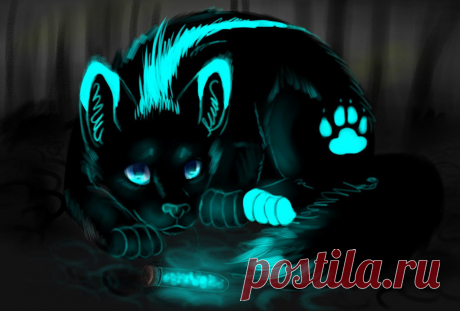 Wolf. Gift by Romashik-arts on DeviantArt