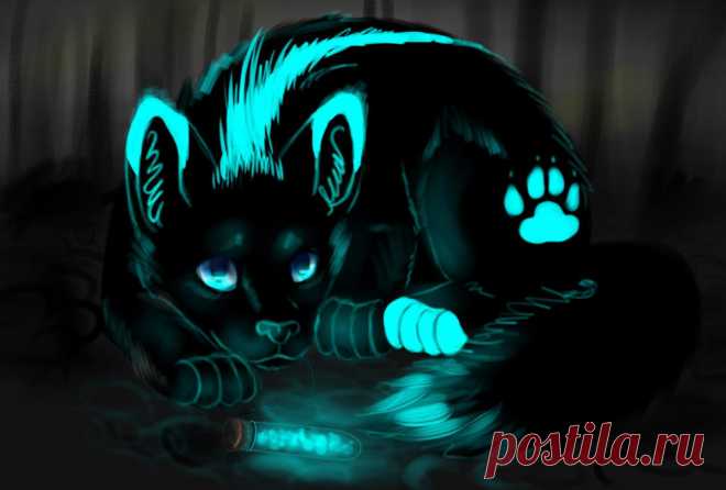 Wolf. Gift by Romashik-arts on DeviantArt