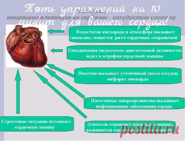 Пять упражнений на 10 минут для вашего сердца! - Советы Народной Мудрости - медиаплатформа МирТесен Пять упражнений на 10 минут для вашего сердца! Проблемы с сердцем могут быть у каждого из нас, и они приходят незаметно, в тот момент, когда просто перестаёшь о них думать. А ведь предотвратить можно любую катастрофу путём профилактики. Часто о профилактике вспоминают только в осенний период, когда