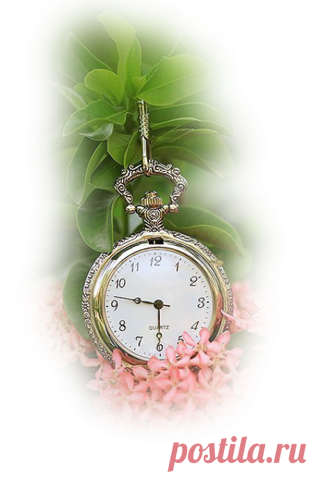 клипарт *цветочно-весеннее* PNG
