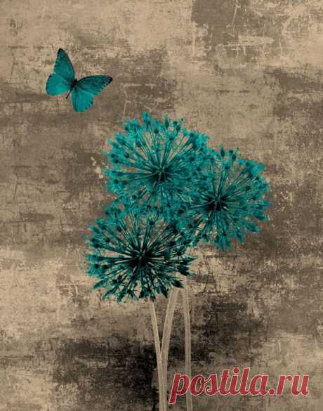 (52) Pinterest
