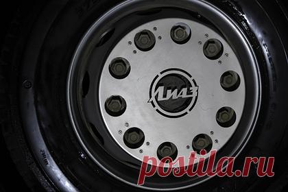 Фонд Николая Расторгуева передал ДНР 90 автобусов. Благотворительный фонд Николая Расторгуева передал властям самопровозглашенной Донецкой народной республики 90 пассажирских автобусов. Весь городской транспорт производства ЛиАЗ будет курсировать по населенным пунктам республики. Автобусы оборудованы пандусами для людей с ограниченными возможностями.