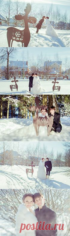 Мороз и солнце: свадьба Саши и Наташи - WeddyWood