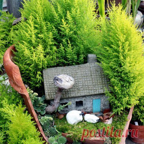 КАК ВДОХНУТЬ НОВУЮ ЖИЗНЬ В РАЗБИТЫЕ ГОРШКИ