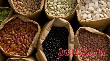 Учёные назвали 7 продуктов, которые помогут разогнать метаболизм | Павел Корпачев Пульс Mail.ru