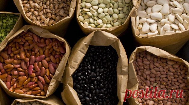 Учёные назвали 7 продуктов, которые помогут разогнать метаболизм | Павел Корпачев Пульс Mail.ru