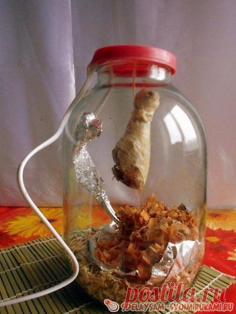 Интересные новости=коптилка