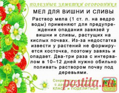 (2) Одноклассники