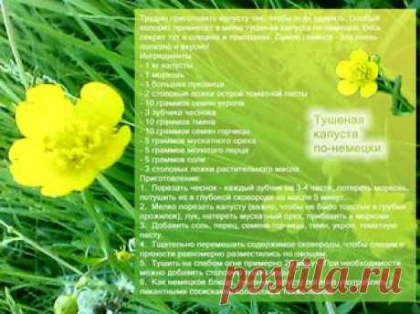 Рецепты - Тушеная капуста по-немецки
