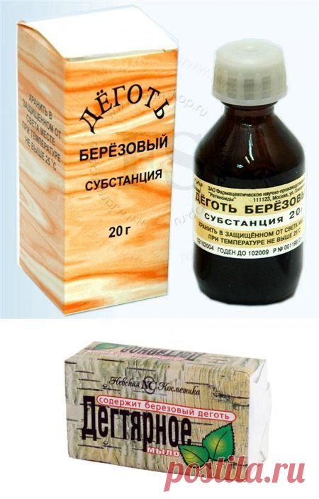 Тайное лекарство -Березовый деготь....