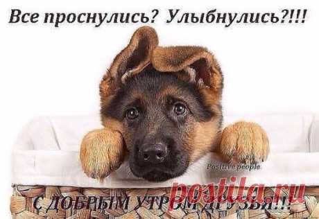 (2) Одноклассники