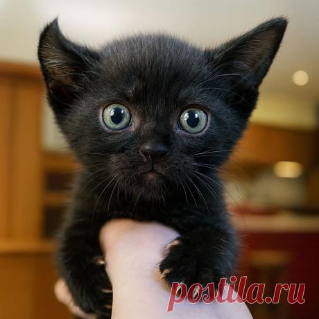 Подарок на день рождения - OGADANIE.RU