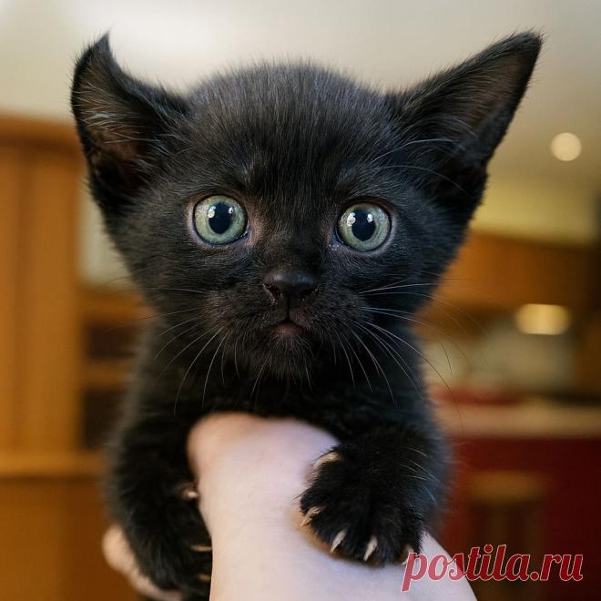 Подарок на день рождения - OGADANIE.RU