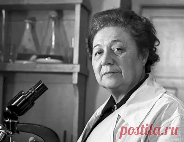 «Пенициллин-ханум»: как Зинаида Ермольева спасла тысячи человек во время войны