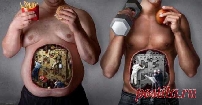 Как ускорить обмен веществ - Делимся советами