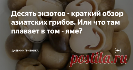 Десять экзотов - краткий обзор азиатских грибов. Или что там плавает в том - яме? Популярные в наше время блюда: том-ям, рамэн или лапша с овощами напичканы мелкими резиновыми грибочками, названий которых мы не знаем, да и не особо стремимся узнать — было бы вкусно ...
Моя молодежь, отдыхая в Тайланде слала фото чудных грибов из местных супермаркетов. "Чудные" они для молодежи, а я немедленно в ответ слала название, чем приводила их в полный восторг.
Какие же грибы продают и