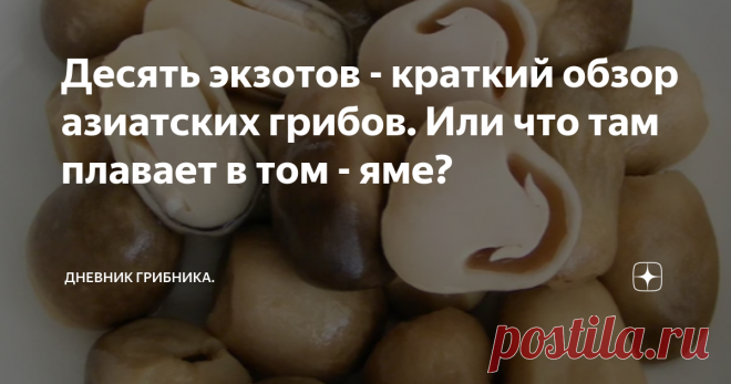 Десять экзотов - краткий обзор азиатских грибов. Или что там плавает в том - яме? Популярные в наше время блюда: том-ям, рамэн или лапша с овощами напичканы мелкими резиновыми грибочками, названий которых мы не знаем, да и не особо стремимся узнать — было бы вкусно ...
Моя молодежь, отдыхая в Тайланде слала фото чудных грибов из местных супермаркетов. 
