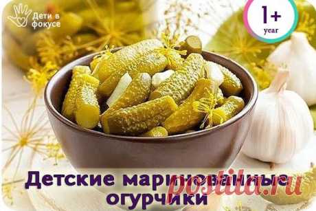 Детские маринованные огурчики: нравятся и детям и взрослым!