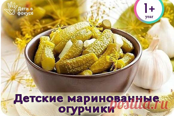 Детские маринованные огурчики: нравятся и детям и взрослым!