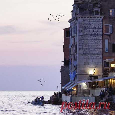 Rovinj’s colors taking breaths away with each sunset.
•
•
Send your photo from Croatia🇭🇷 👉 croatiaphotography@yahoo.com.hr or put #croatia_photography
Photo by @mattiacarlon1
•
#sunset #sunsetlovers #sunsetporn #sunsetlove #travel #travelpic #travelgram #travelling #hotel #mediterranean #travellingtroughtheworld #photography #photooftheday