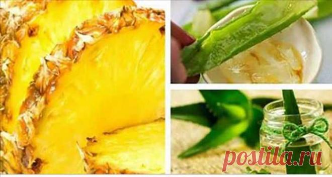 Смузи из ананаса, алоэ вера, овсянки и имбиря для ликвидации живота и всех болезней! — ХОЗЯЮШКА