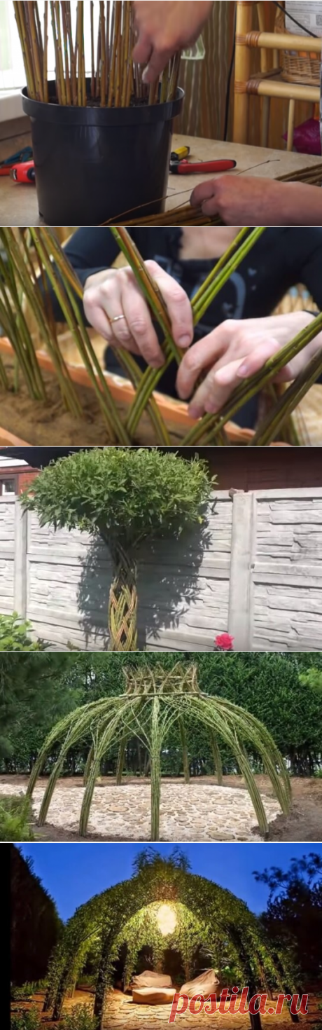 Макраме🌴из ивы: плетём живое дерево🏡🏡🏡 | Дача🏡Life | Яндекс Дзен